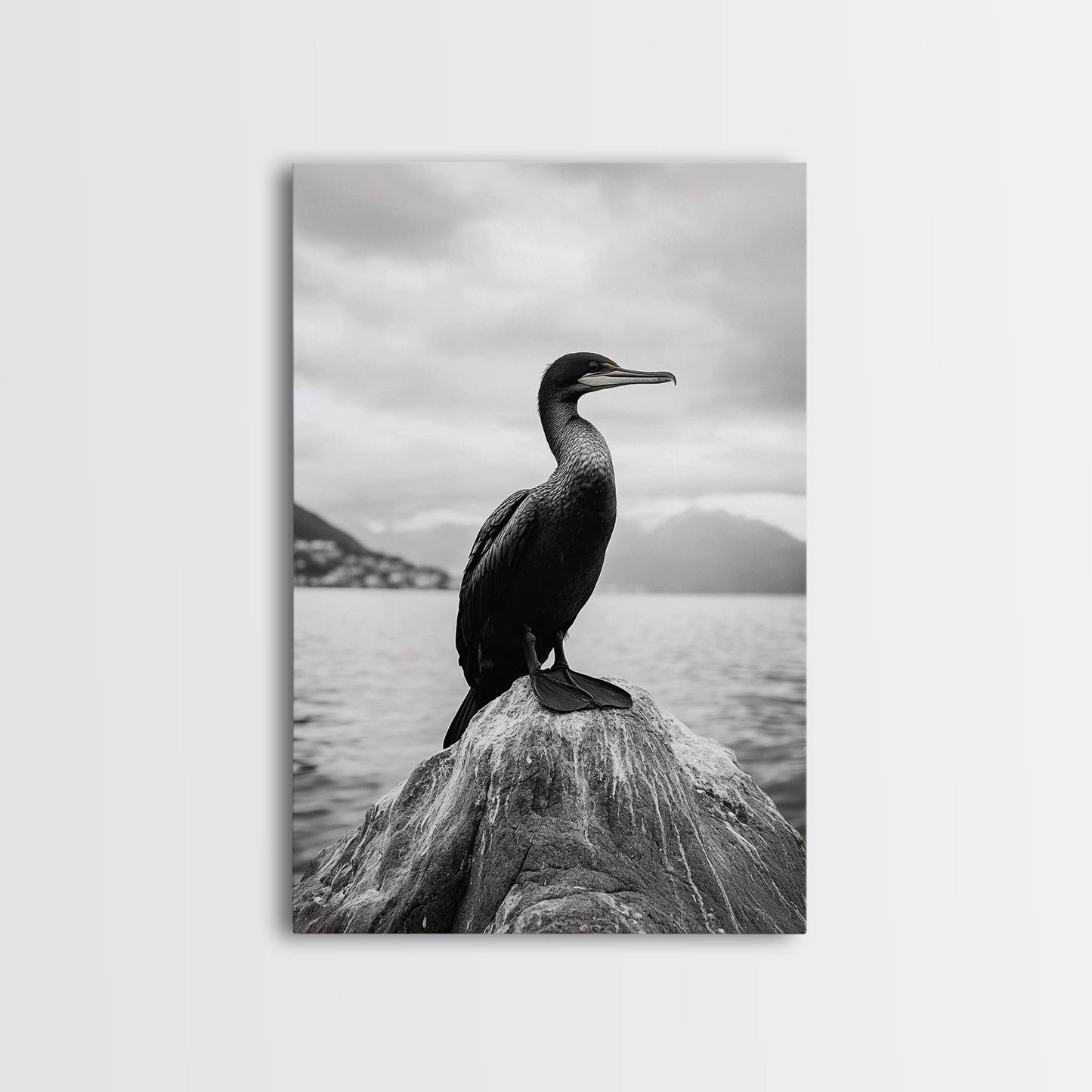Coastal Bird Portrait, Nature Minimalism, Lake Decor, Monochrome Wildlife, Framed Canvas Print, Bedroom Wall Art, Bird Photography Print