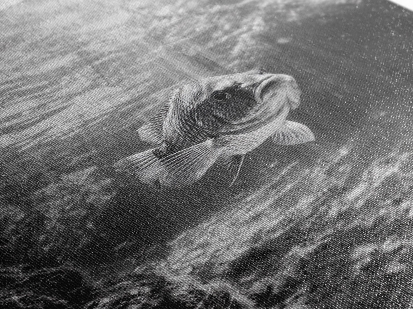 Sunlit Fish, Ocean Rays, Underwater Wonder, Tranquil Sea Life, Framed Canvas Print, Kids Room Decor, Coastal Art, Nautical Home Style