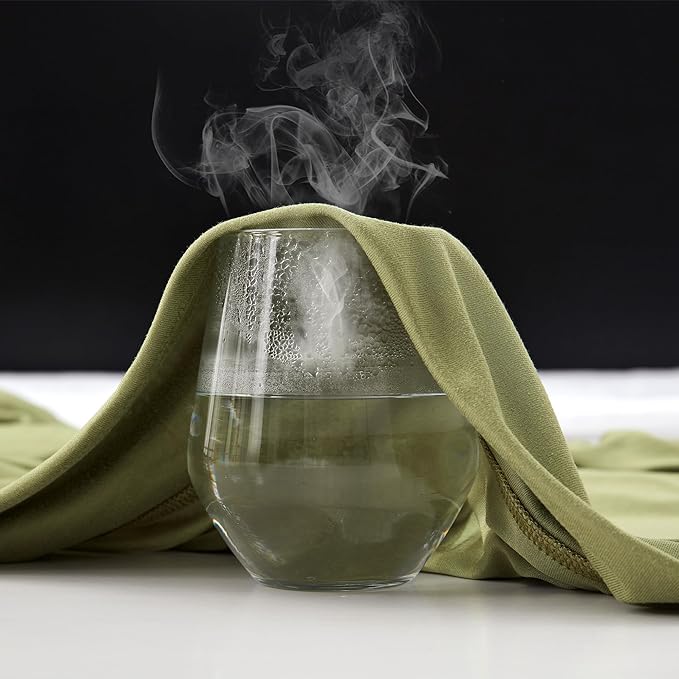 100% Microfiber Jersey Knit Sheet Set with Pillowcases-Green