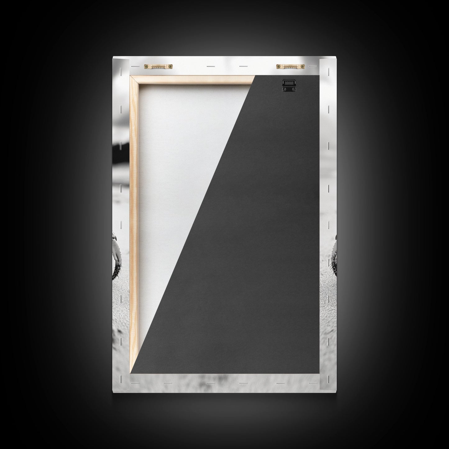 Beach Crab Portrait, Closeup Ocean Art, Tropical Minimalism, Coastal Creature Photo, Framed Canvas Print, Bathroom Wall Decor, Marine Decor